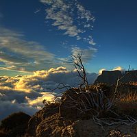 2012-05-20 07-01-36