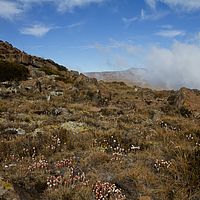 2012-05-20 10-45-47