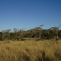 2012-05-17 15-14-56