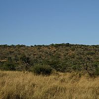 2012-05-17 15-15-01