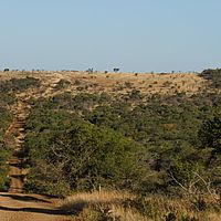 2012-05-17 15-33-16