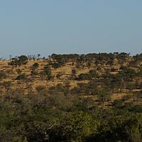 2012-05-17 15-36-03