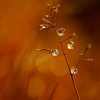 2012-05-21 07-06-30