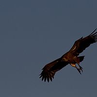 2012-04-30 16-24-07
