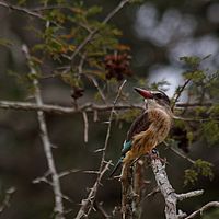 2012-05-02 07-08-59