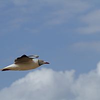 2012-05-05 13-33-34