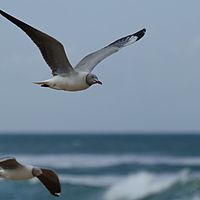 2012-05-05 13-37-58