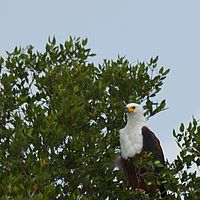 2012-05-06 11-31-24