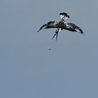 2012-05-06 12-04-11