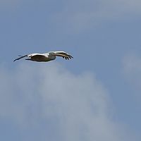 2012-05-06 12-06-33