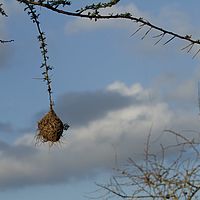 2012-05-07 16-06-25