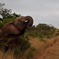 2012-05-02 06-32-57