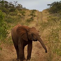 2012-05-02 06-38-57