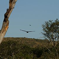 2012-05-08 16-07-28