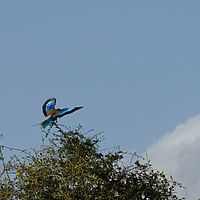 2012-05-11 15-26-30