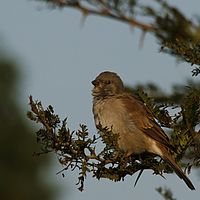 2012-05-12 07-32-16