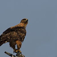 2012-05-12 09-40-18