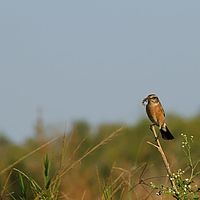2012-05-12 15-20-48