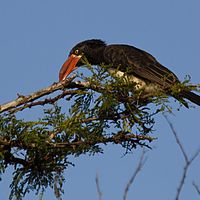 2012-05-12 15-57-31
