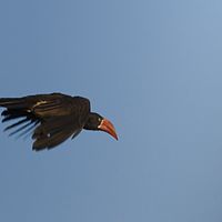 2012-05-12 15-57-39