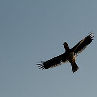 2012-05-12 16-27-20