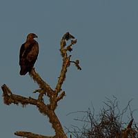 2012-05-14 07-02-10