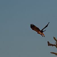 2012-05-14 07-02-23