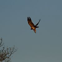 2012-05-14 07-02-24