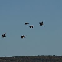 2012-05-16 15-30-23