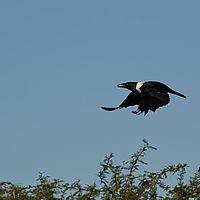 2012-05-22 15-27-05