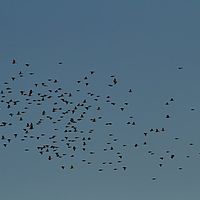 2012-05-25 16-43-16