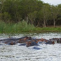 2012-05-06 11-28-56