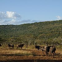 2012-05-08 15-39-52