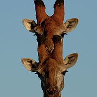 2012-05-08 16-26-42