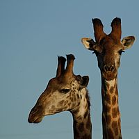 2012-05-08 16-26-46