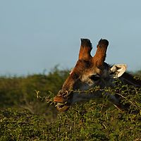2012-05-08 16-28-15