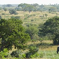 2012-05-12 13-32-58