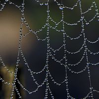 2018-11-01 06-04-35 211056001543