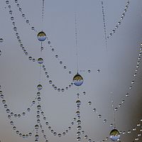 2018-11-01 06-11-01 211056001543