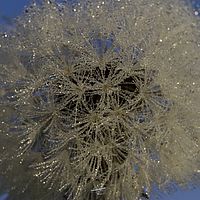 2018-11-01 06-12-22 211056001543