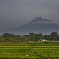 2018-11-04 07-06-51 211056001543