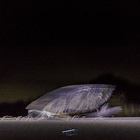 2018-11-06 20-52-59 211056001543