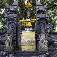 2018-11-09 11-18-06 211056001543