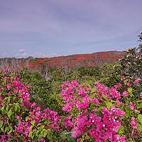 2018-11-10 16-17-40 211056001543
