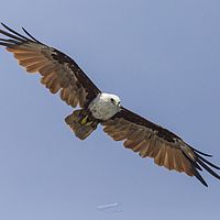 2018-11-13 10-24-36 211056001543