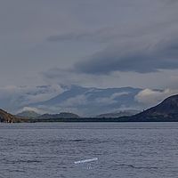 2018-11-14 17-12-12 211056001543 hdr