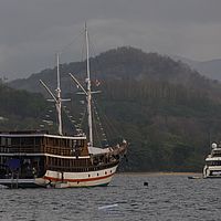 2018-11-14 17-43-39 211056001543