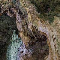 2018-11-15 09-01-41 211056001543