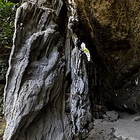 2018-11-15 09-22-51 211056001543