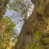 2018-11-15 09-31-43 211056001543 hdr